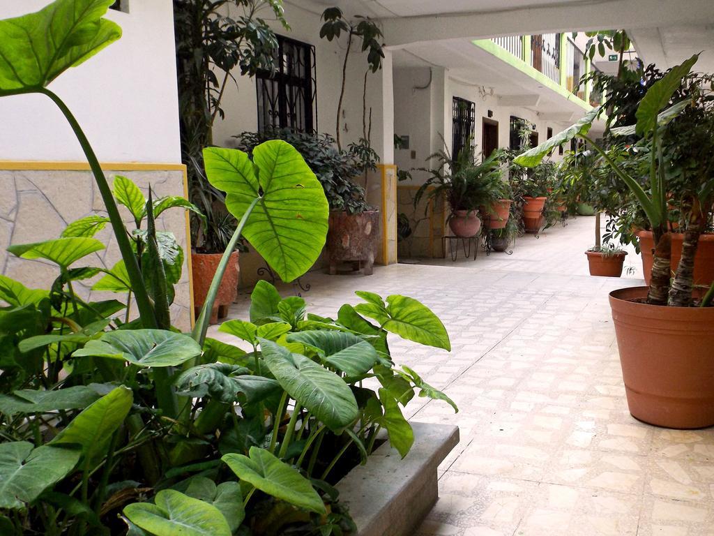 Hotel Posada Las Casas San Cristóbal de Las Casas Dış mekan fotoğraf